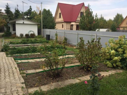 Отзыв довольного клиента